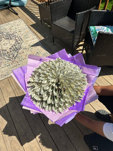 Money bouquet