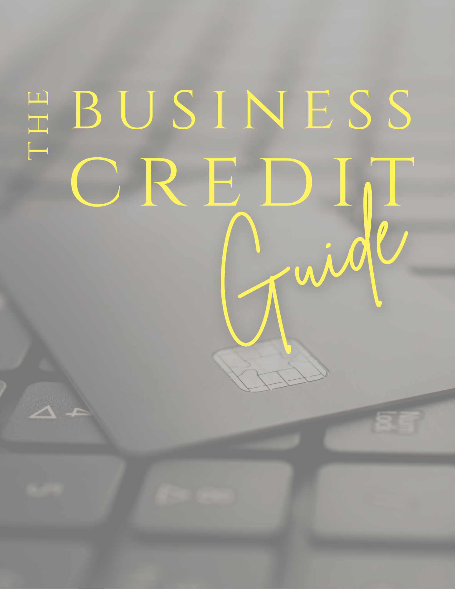 The Business credit ebook