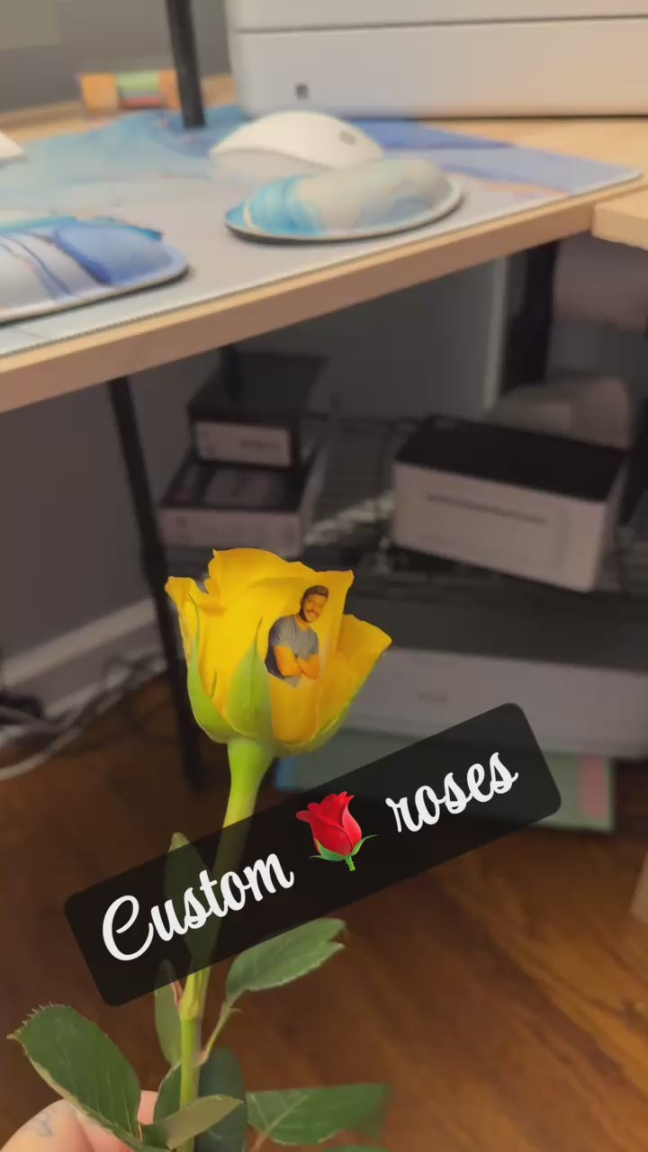 Custom rose class rEPLAY